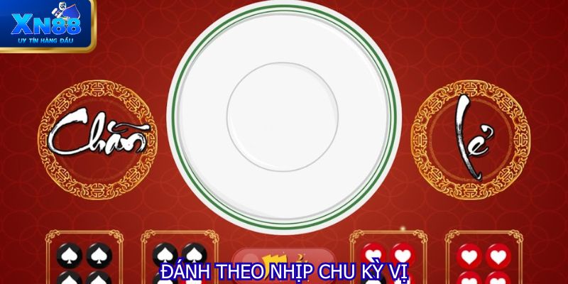 Đánh theo nhịp chu kỳ vị